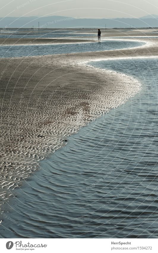 Low tide walk Harmonious Well-being Relaxation Swimming & Bathing Vacation & Travel Tourism Summer Summer vacation Beach Ocean Human being Young woman