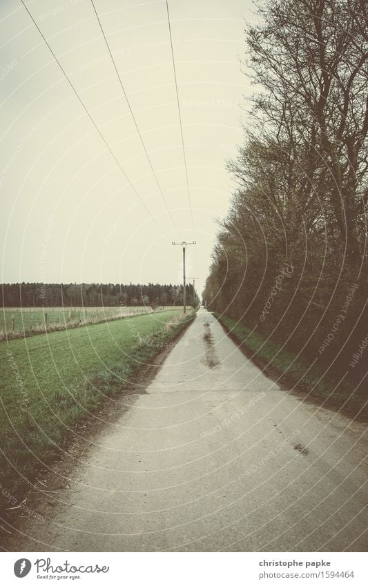 wanderlust Lanes & trails Electricity pylon Rural Horizon Infinity Field Colour photo Subdued colour Exterior shot Deserted Copy Space top Copy Space bottom