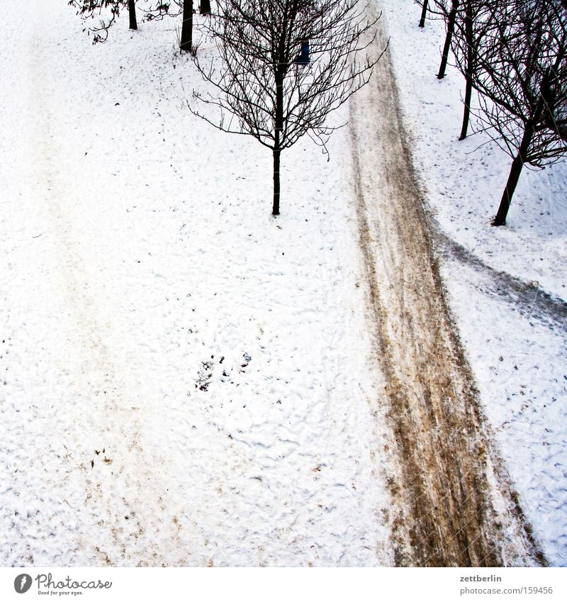 Last snow Snow Winter Snow layer Lanes & trails Footpath Tree Avenue Bird's-eye view Frost Winter maintenance program Janitor Transience Park clearance