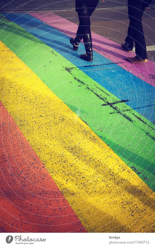 over the rainbow Lifestyle Couple 2 Human being Youth culture Street art Maastricht Traffic infrastructure Lanes & trails Zebra crossing Leather Varnish Sign