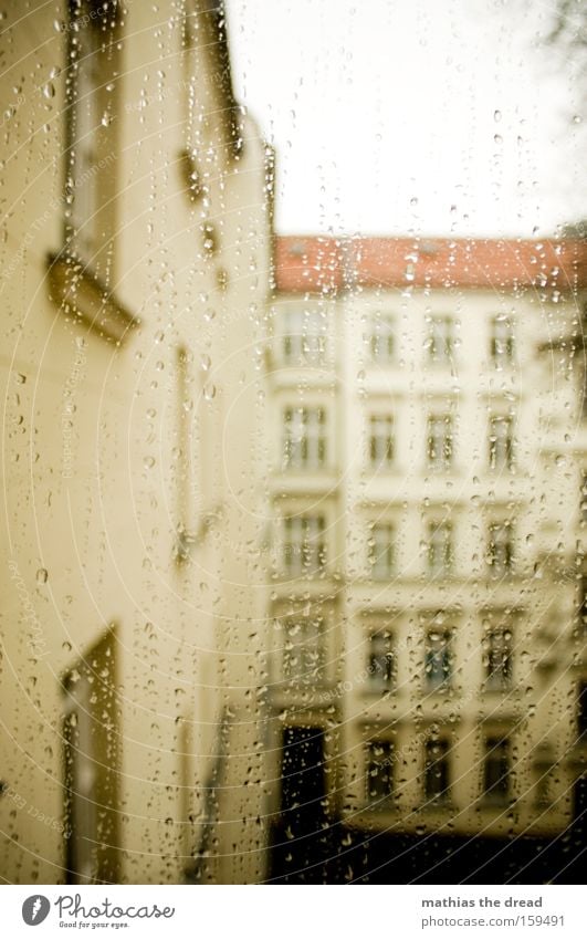 rainy day Window pane Slice Vantage point Rain Water Drops of water Weather Backyard House (Residential Structure) Facade Gloomy Gray Winter Sky Transience