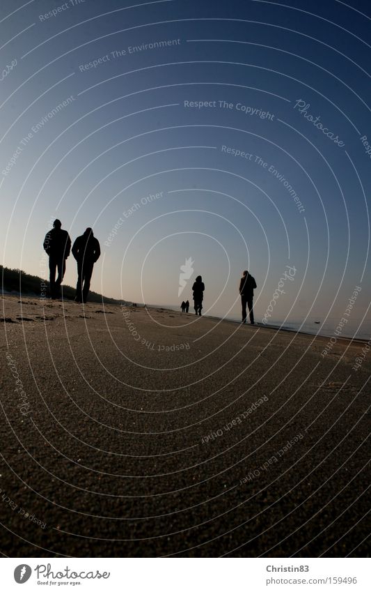 stroll Ocean Beach Human being Sky Blue Baltic Sea To go for a walk Calm Sand Smoothness Relaxation Usedom Winter Coast Poland Beautiful weather