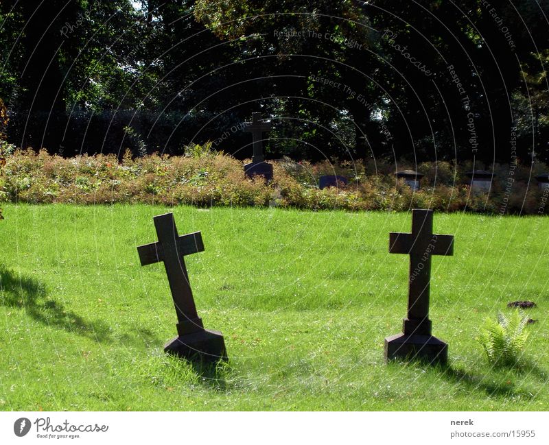 The Tomb Cemetery Meadow Summer Sun Green Calm Loneliness Grave Closing time Broken Historic Grief Distress Moral quiet place Back Death peace of the evening