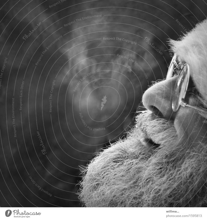 Santa Claus Face Facial hair Eyeglasses White-haired Beard Smiling Laughter Friendliness kind cheerful Man Cheerful bearded Tradition Gray-haired kindly