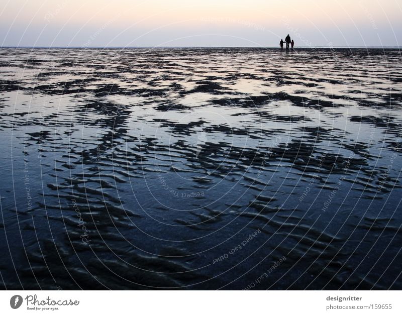 broadening of horizons North Sea Ocean Mud flats Low tide Winter Ice Slick Sand Far-off places Infinity Horizon Hiking Walk along the tideland