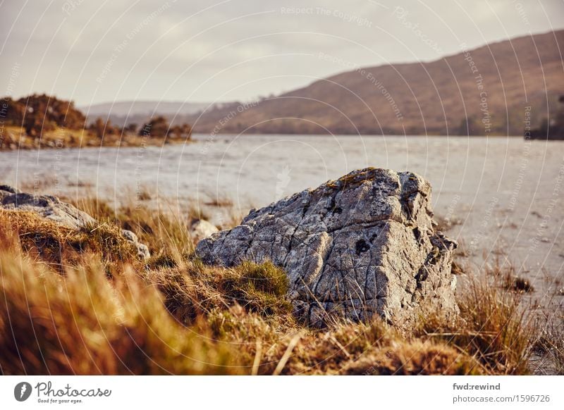 A stone Nature Landscape Earth Spring Summer Autumn Coast River bank Bog Marsh Stone Esthetic Far-off places Joie de vivre (Vitality) Spring fever Power