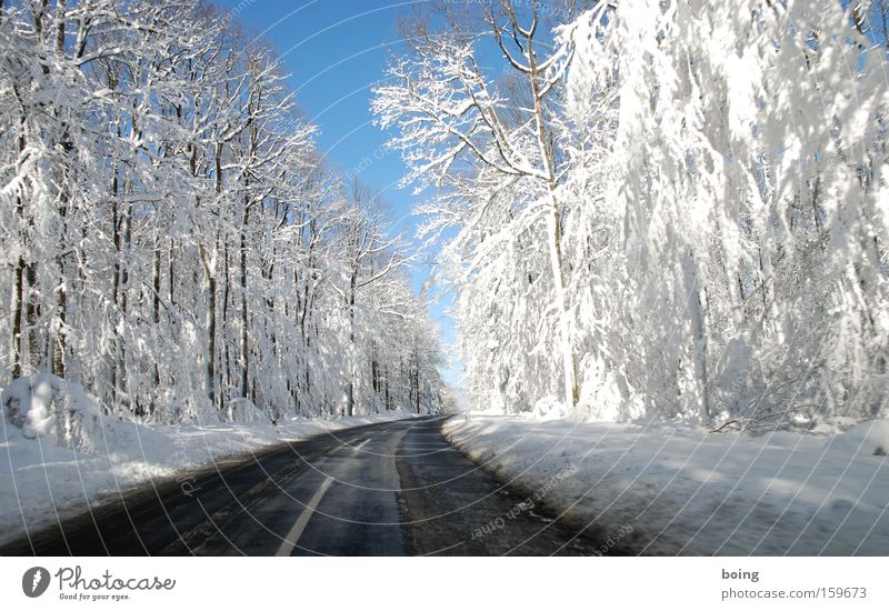 St2316 - Journey into the White Mountains Street Country road Snow Driving Winter Forest Winter maintenance program Smoothness Alpine Mud Curve