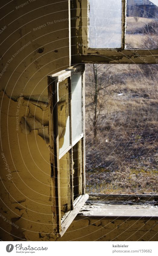 View outside Colour photo Subdued colour Interior shot Detail Deserted Sunlight Calm House (Residential Structure) Ruin Building Window Decline Past Transience