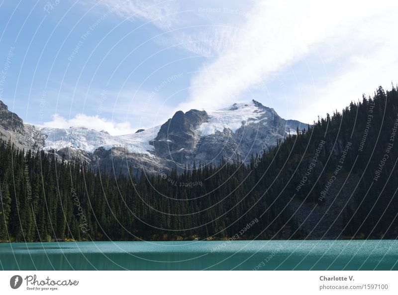 in the mountains Landscape Summer Beautiful weather Tree Coniferous forest Mountain Whistler Snowcapped peak Glacier Lake glacial lake Glittering Firm Fluid