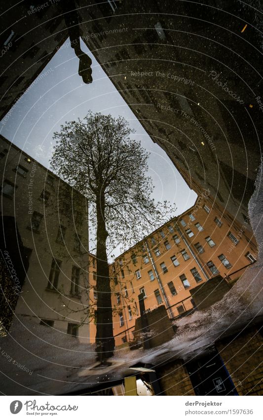 View up/down in the back house in Berlin in a spieglung II Wall (barrier) Wall (building) Hip & trendy Copy Space middle Copy Space top Experimental