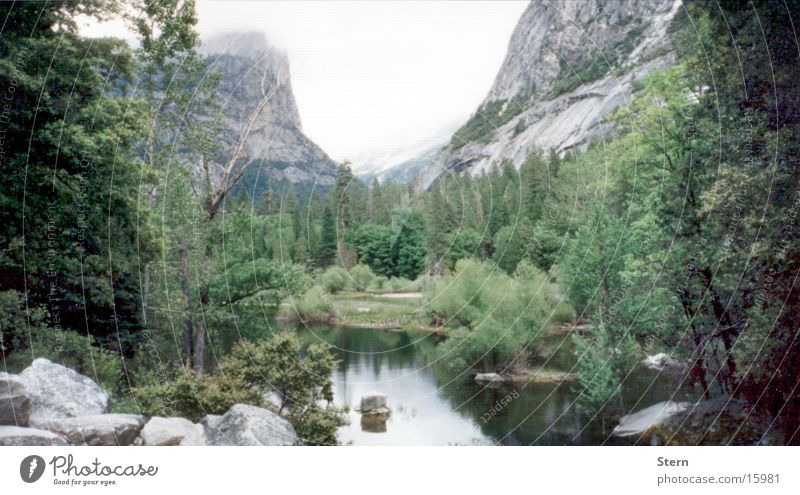 Lake and mountains Forest Tree Fir tree Fog Reflection Calm Mountain Stone Vantage point Landscape Nature Far-off places