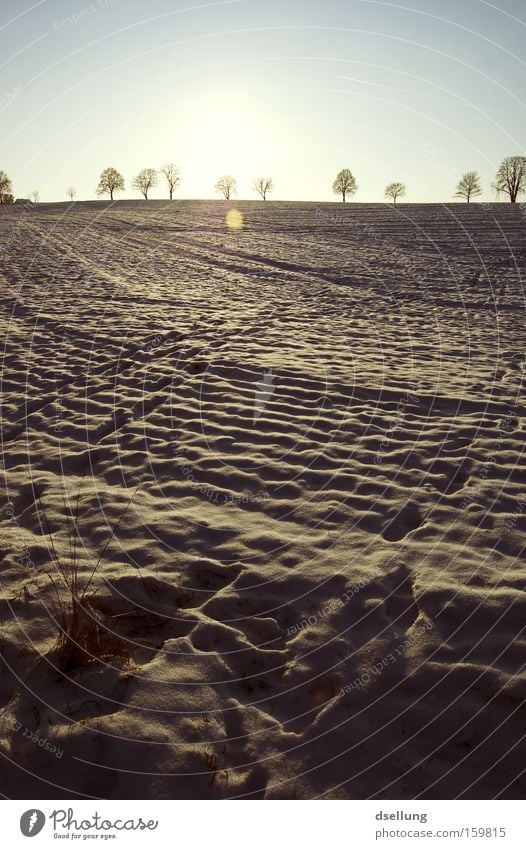 Tracks in the snow Winter Snow Sunset Horizon Grass Field Footprint Cold parked in the parking lot