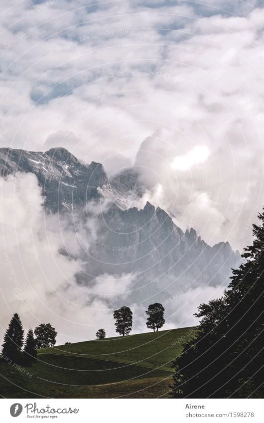 weather change Sky Clouds Storm clouds Weather Bad weather Tree Meadow Rock Alps Mountain High King Mountain meadow Threat Dark Tall Gray Green Fear Nerviness