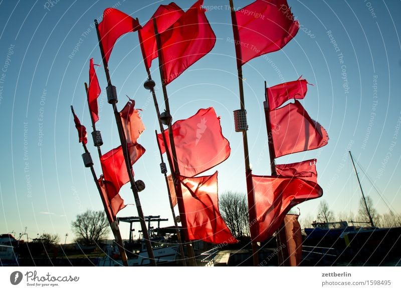 rodents Flag Red Buoy Navigation mark Signal Wind Gale Judder Harbour Fishery Coast Coasting steamer Sky Horizon Landscape Mecklenburg-Western Pomerania Ocean