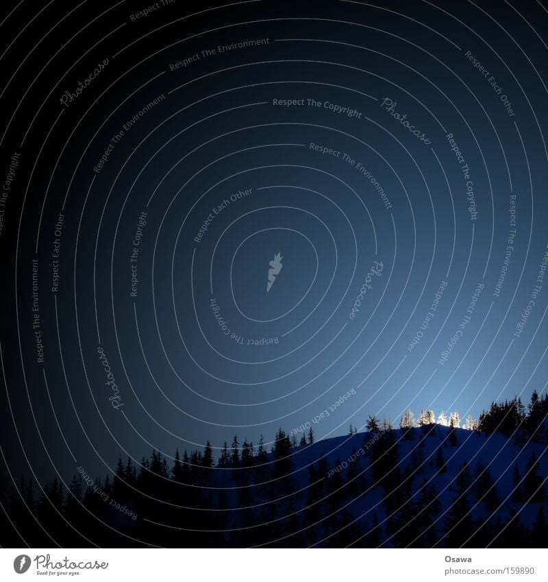Alpine sunset Mountain Hill Forest Tree Sunset Back-light Illuminate Floodlight Light Snow Sky Blue Winter Coniferous forest ridges