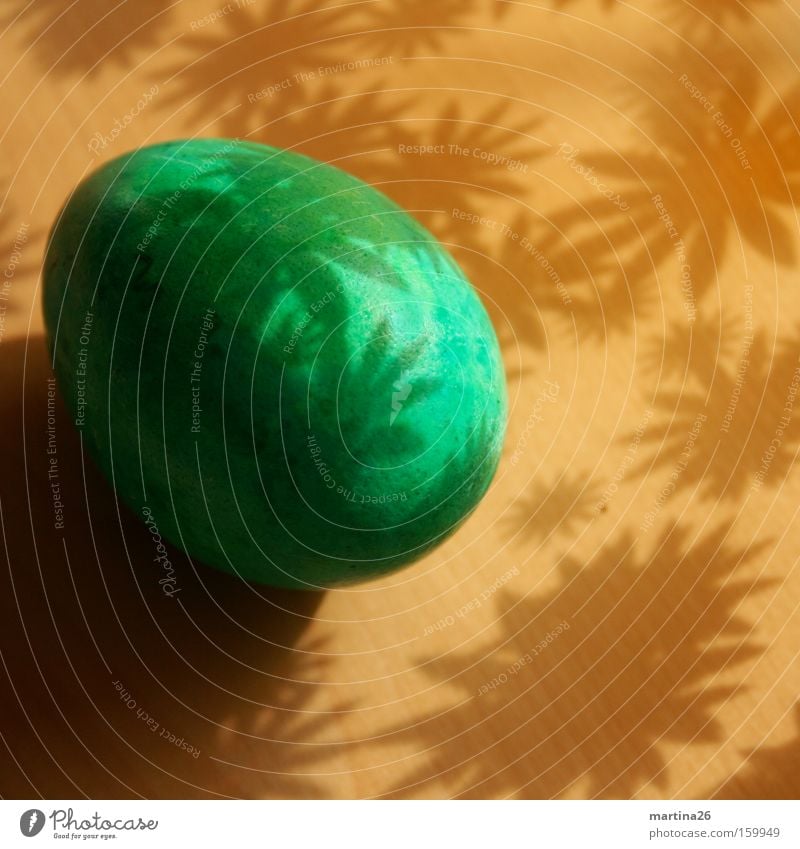 Easter egg Colour photo Interior shot Close-up Pattern Deserted Shadow Food Spring Flower Blossom Wood Friendliness Kitsch Brown Green Contentment Calm Serene