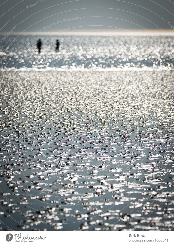 Wadden Walker III Vacation & Travel Tourism Trip Adventure Far-off places Freedom Summer vacation Beach Ocean Body 2 Human being Environment Nature Landscape