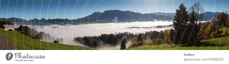 Sea of fog over Egg Landscape Sky Horizon Sunlight Autumn Beautiful weather Fog Tree Grass Bushes Field Forest Hill Alps Mountain Peak Village Deserted Hut