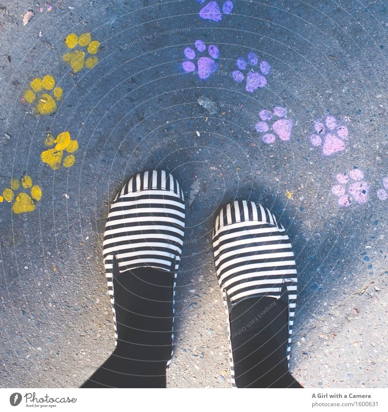 Paw Prints and stripy Feet 1 Human being Stand Friendliness Multicoloured Footprint Yellow Pink Dog Cat Stripe Crazy Colour photo Exterior shot Detail