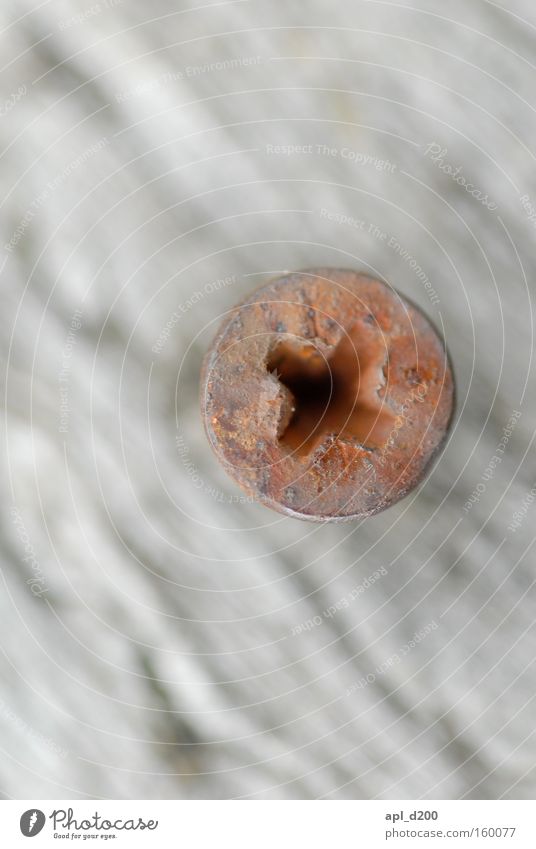 Hit the screw on the head Screw Rust Wood Wooden board Macro (Extreme close-up) Fastening Wood grain Work and employment Close-up Detail shallow depth of field