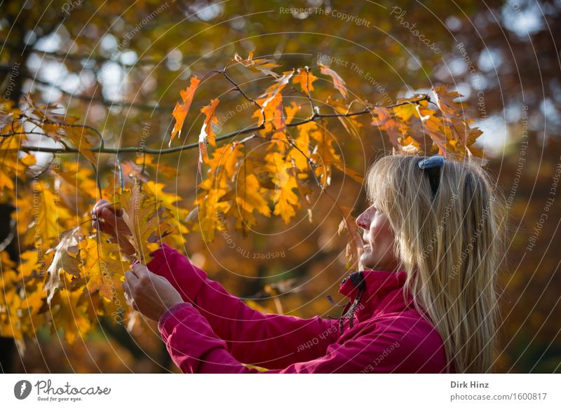 Woman with autumn leaves Healthy Life Well-being Senses Calm free Leisure and hobbies Vacation & Travel Tourism Trip Garden Feminine Adults 1 Human being