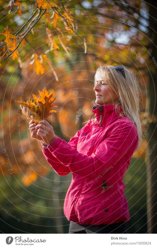 Woman in sunlight with autumn leaves in her hand already Life Vacation & Travel Feminine Adults 1 Human being 30 - 45 years Autumn Beautiful weather flaked