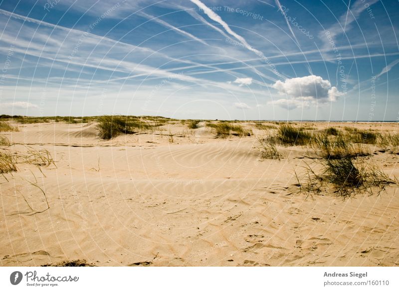 Vacation!!!! North Sea Beach Ocean Vacation & Travel Coast Clouds Sky Sand Relaxation Denmark Vapor trail Summer Beach dune