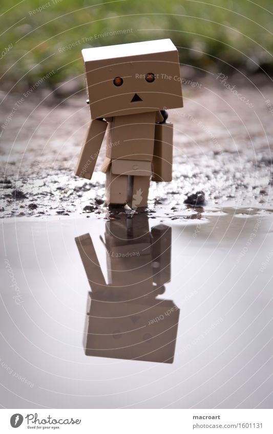 What do u see? Reflection Robot Water Body of water Puddle Cardboard little man Figure Piece Eyes Face Nature Natural danboo danboard Small Miniature Discover