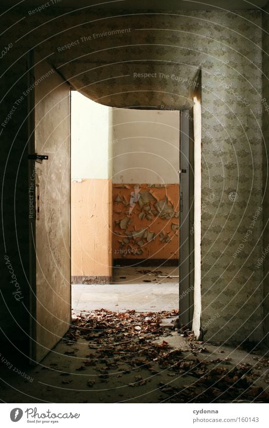 [Weimar09] Open doors Room Location Decline Vacancy Light Transience Time Life Memory Destruction Old Military building Entrance Leaf Autumn Door Derelict