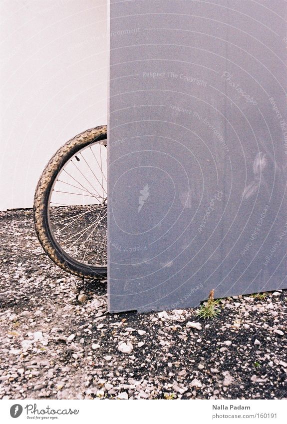 Leaning against... Colour photo Exterior shot Copy Space right Copy Space top Day Shallow depth of field Plant Transport Bicycle Dirty Modern Gray Green White