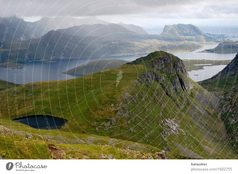 fantastic view Landscape Meadow Hill Rock Mountain Fjord Lake Infinity Juicy Green Lofotes Norway Summer Level ryten Vantage point Diffuse Clouds Beautiful