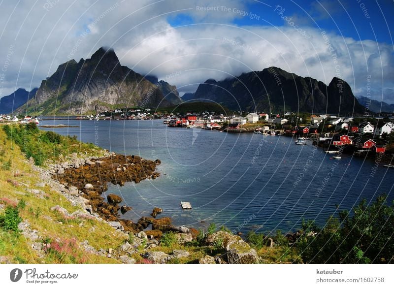 the fishing village pure Landscape Mountain Fjord Point Fish Ocean Blue sky Clouds Sun Hut Watercraft Lofotes Island Norway Summer Light Contrast Coast