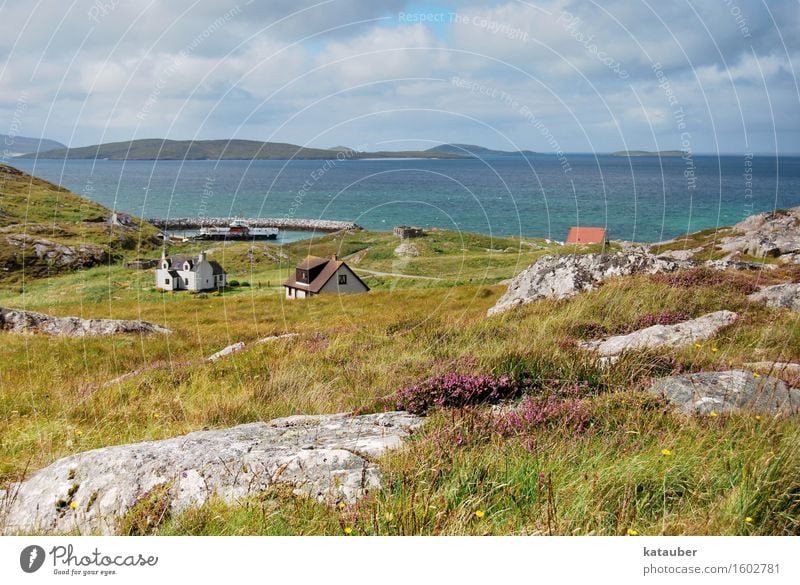 summer on the hebrids Nature Landscape Plant Sky Beautiful weather Ocean Island Contentment Optimism Warm-heartedness Vacation & Travel Scotland Western islands