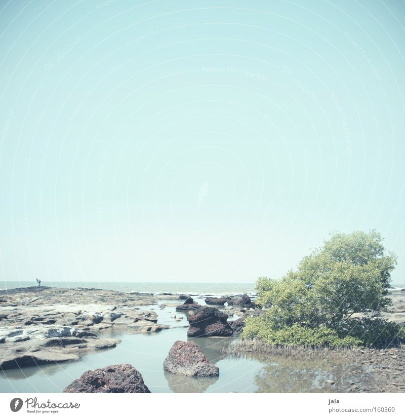 Stones by the sea Loneliness Far-off places Light Water Ocean Beach Vacation & Travel Calm Bushes Blue Freedom Sand Bright India