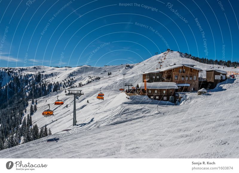 ski hut Vacation & Travel Tourism Trip Far-off places Freedom Winter Snow Winter vacation Mountain Winter sports Skiing Sky Hill Peak Snowcapped peak Hut