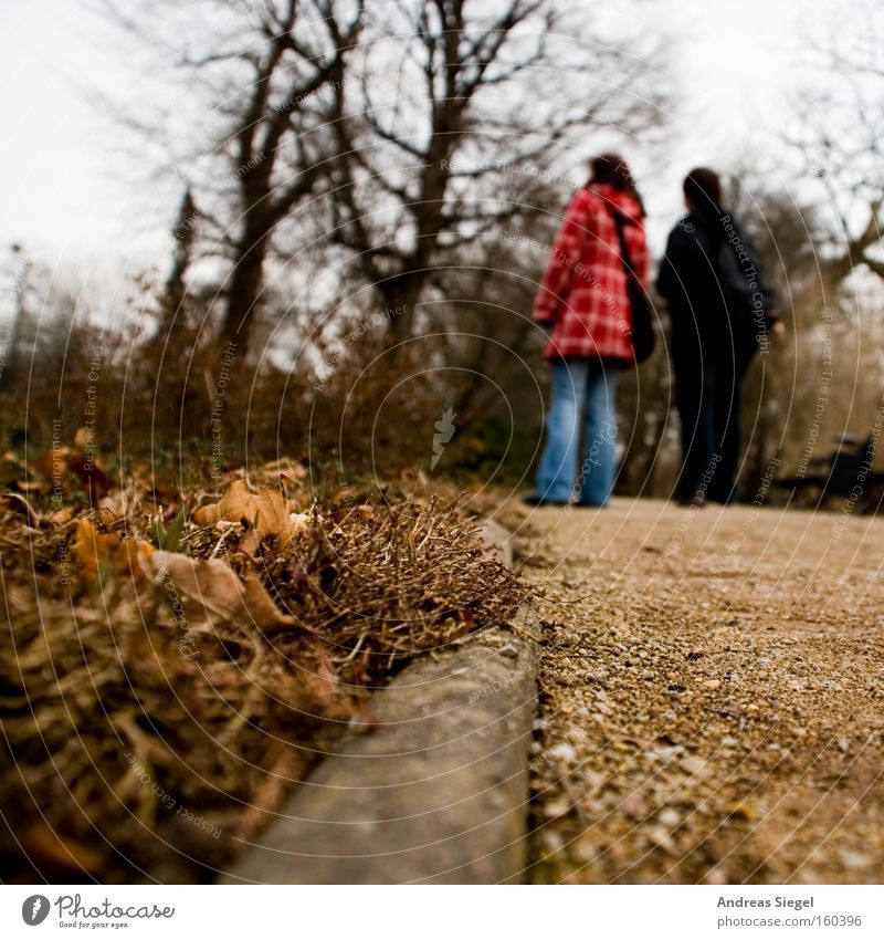 Sunday stroll To go for a walk Human being Lanes & trails Stone Leaf Sand Tree Blur Dresden Garden Park large garden Exterior shot