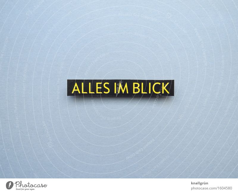 Everything at a glance Characters Signs and labeling Observe Communicate Sharp-edged Yellow Gray Black Emotions Moody Self-confident Determination Safety