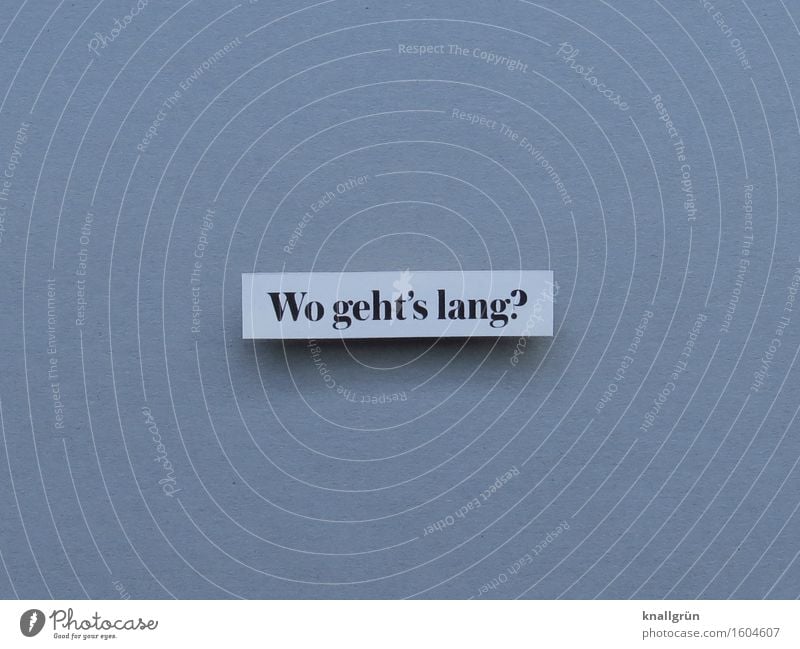 Which way? Characters Signs and labeling Communicate Sharp-edged Gray Black White Emotions Determination Curiosity Interest Advice Experience Expectation