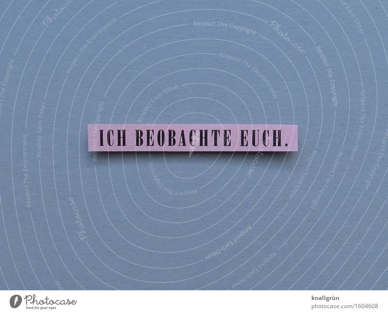 I'M WATCHING YOU. Characters Signs and labeling Observe Communicate Sharp-edged Gray Pink Black Emotions Moody Safety Protection Responsibility Watchfulness