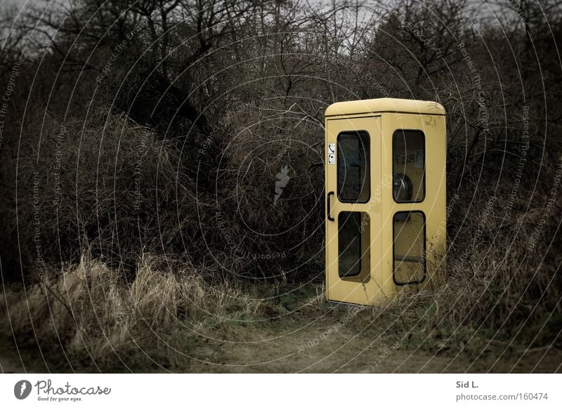 peripheral location Phone box Pallid Yellow Bushes Gray Loneliness Deutsche Telekom Telephone Hiddensee Winter Gloomy Remote Communicate Telecommunications