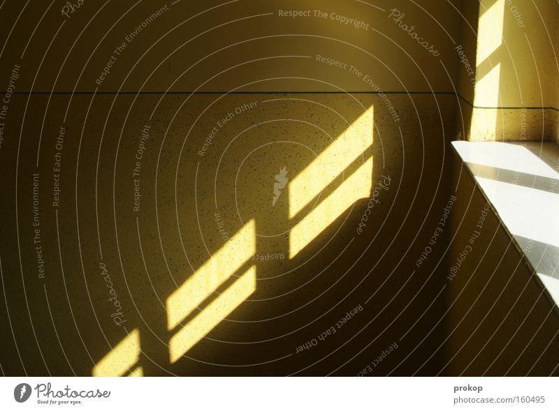 light leak Sun Light Shadow Graphic Line Structures and shapes Places Hallway Window Progress Bright Dark Diagonal Illustration Detail Concentrate Joy