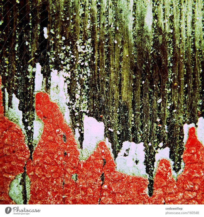 fire and ice Structures and shapes Ice Abstract White Red Colour Flame Fence Transience Detail Obscure