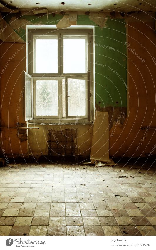 Open Window Room Location Decline Vacancy Light Transience Time Life Memory Destruction Old Tile Wallpaper Uninhabited Derelict Living or residing venues