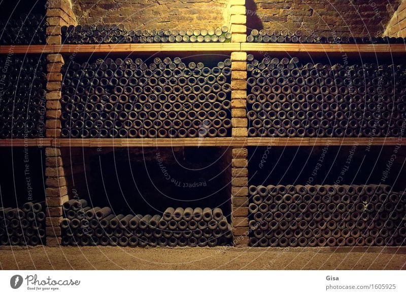 Wine cellar (wine bottles) Agriculture Forestry Wine growing Storage Austria Europe Village Cellar wall Bottle Bottle of wine Brick Stone Sand Wood Glass Metal