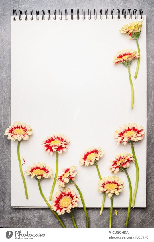 Notebook with beautiful flowers Style Design Life Garden Study Gardening Office Business Plant Leaf Blossom Paper Piece of paper Sign Retro Gerbera Magazine