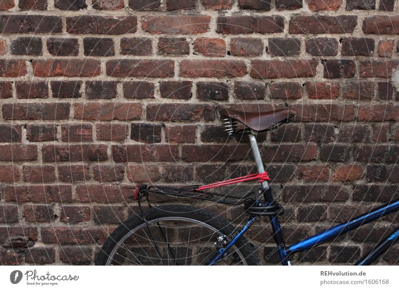 bicycle Wall (barrier) Wall (building) Stone Sustainability Bicycle Parking Parking lot Brown Blue Movement Photos of everyday life Colour photo Subdued colour