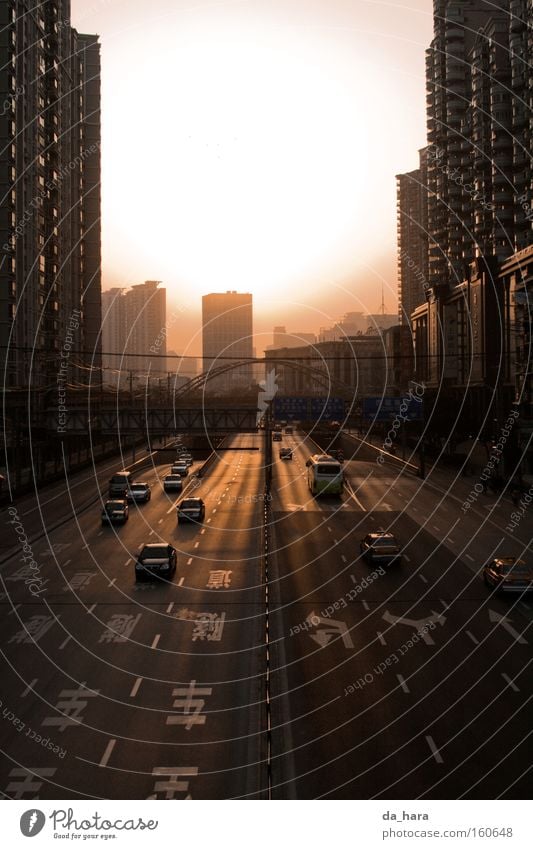 Broad meets high China Shanghai Sun Street Motor vehicle High-rise Sunset Bridge Highway Asia Transport Car