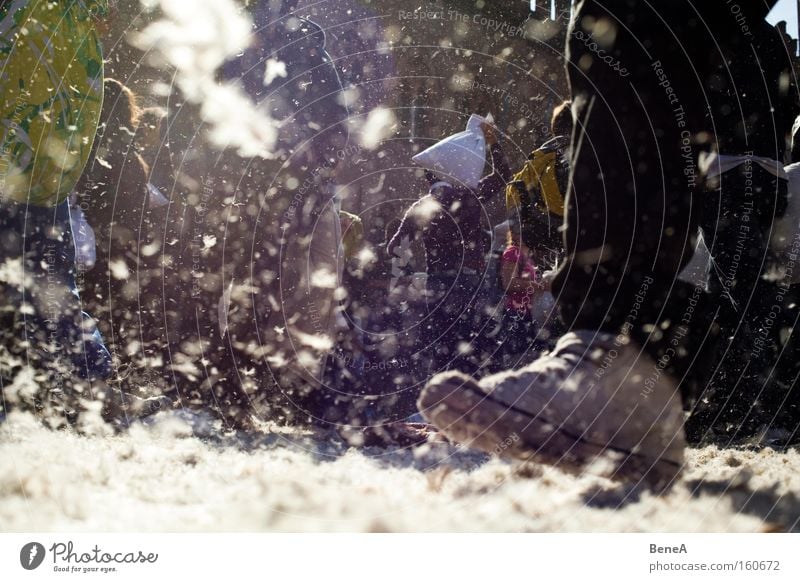 feathers Joy Human being Feet Clothing Footwear Going Battle pillow fight Feather flashmob mobile facebook Date Colour photo Exterior shot Copy Space left