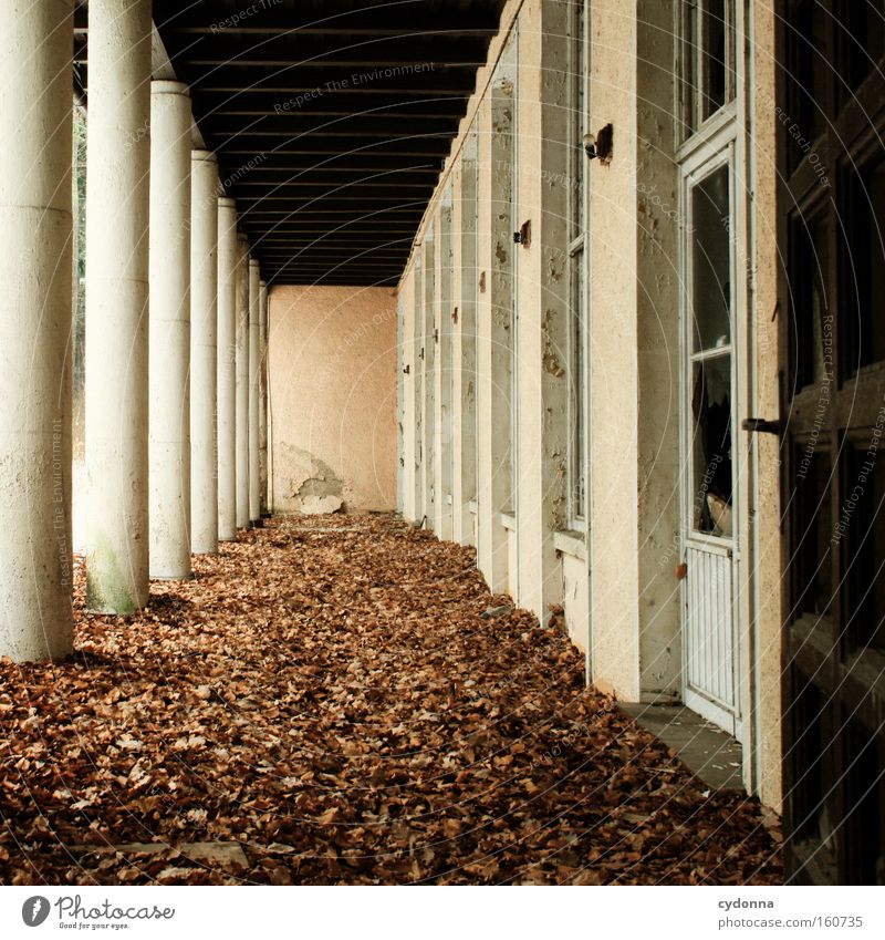 [Weimar 09] Arcade Window Corridor Decline Vacancy Transience Time Life Memory Column Destruction Autumn Leaf Derelict