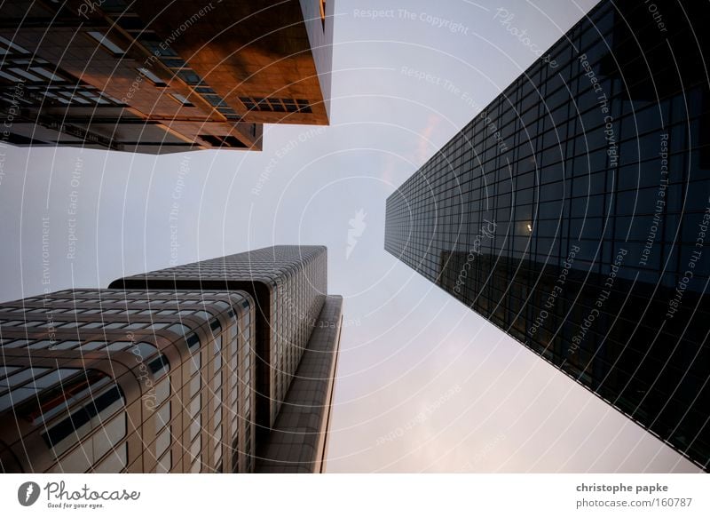 High-rise buildings in Frankfurt am Main from a frog's eye view built Downtown Banking district Architecture Bank building office Colour photo Capital city